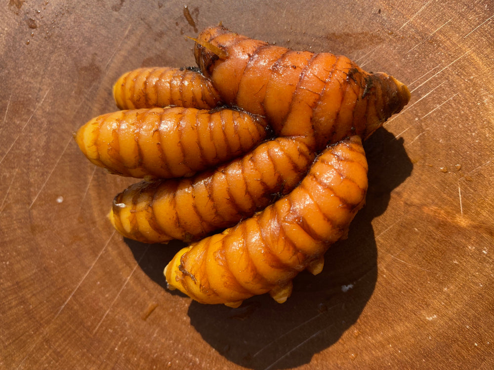 All About Turmeric 🧡