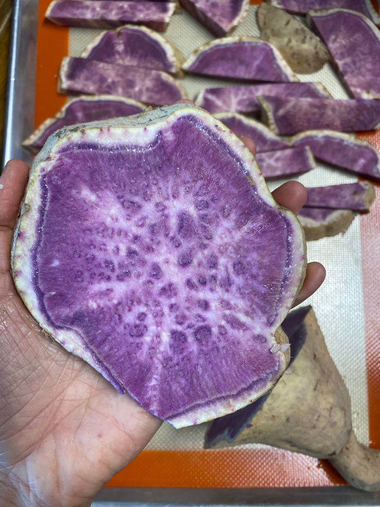 Hawaiian Purple Sweet Potato 💜 ready to harvest