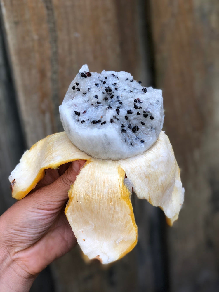 50% off yellow dragonfruit 💛 SALE