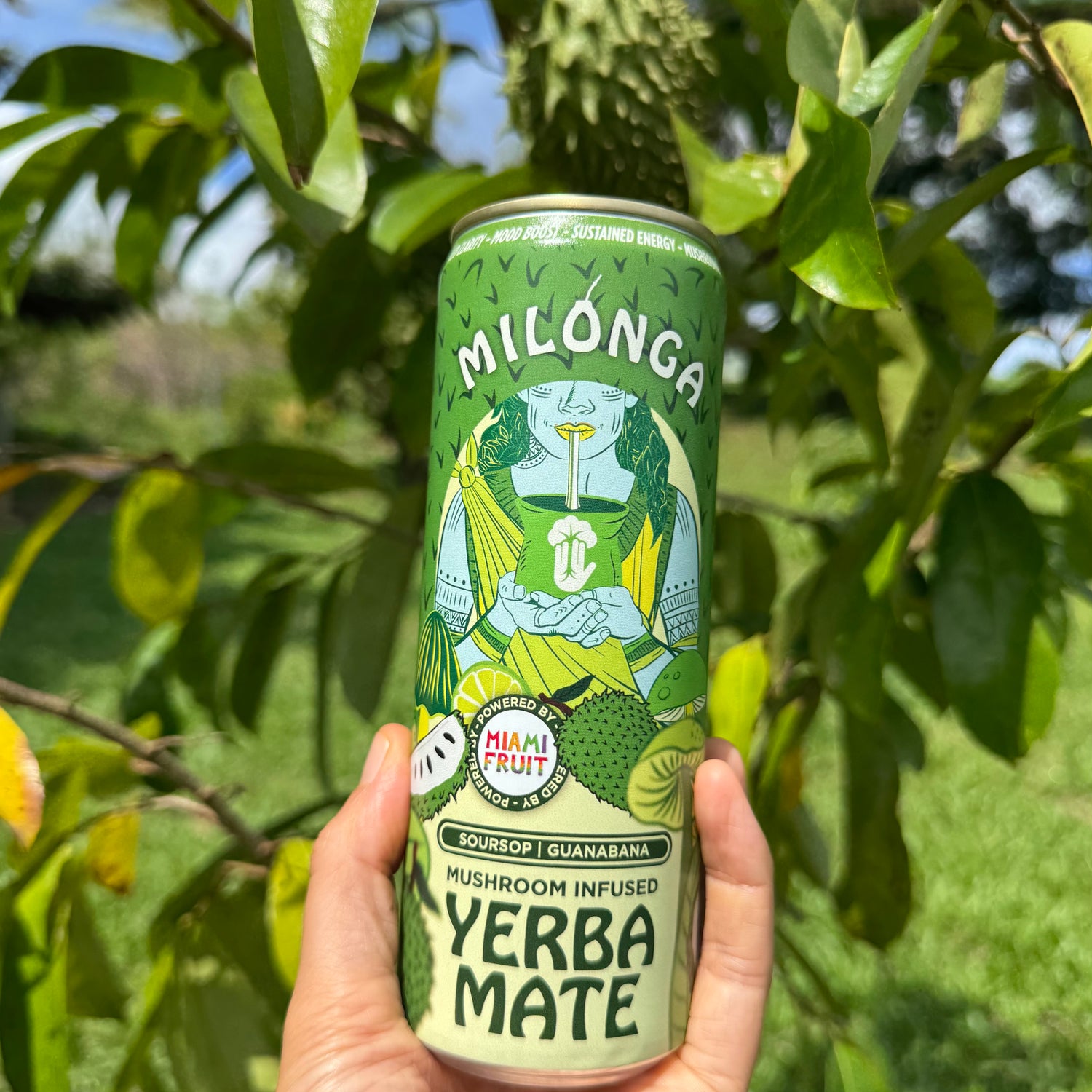 Soursop Infused Yerba Mate + Adaptogenic Mushrooms – Miami Fruit