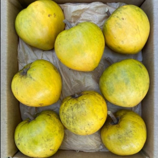 Eggfruit (Canistel) Box *Pre-Order*