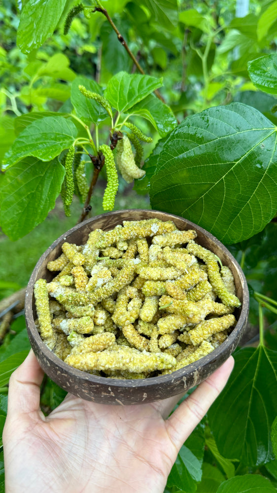 Freeze Dried Green Mulberry *NEW*