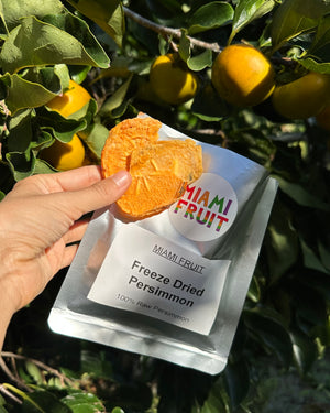 Freeze Dried Persimmon β Miami Fruit