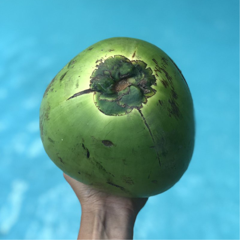 Water Coconut
