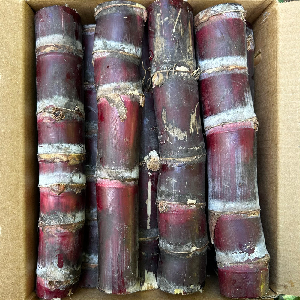 Sugarcane Box