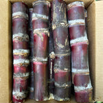 Sugarcane Box