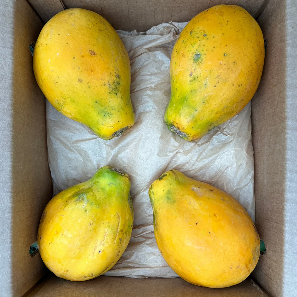 Papaya Box