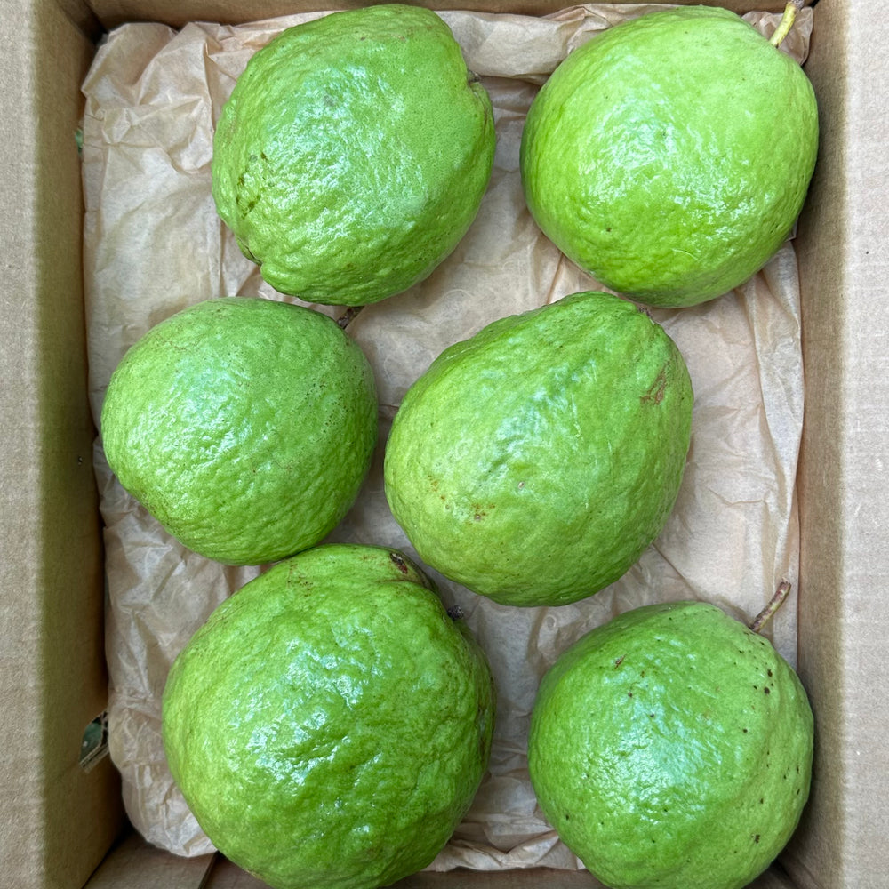 Guva Box What's in Season | Tropical Fruit Boxes | Miami Fruit – Page 3