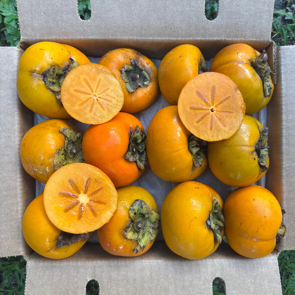 Fuyu Persimmon *Pre-Order*