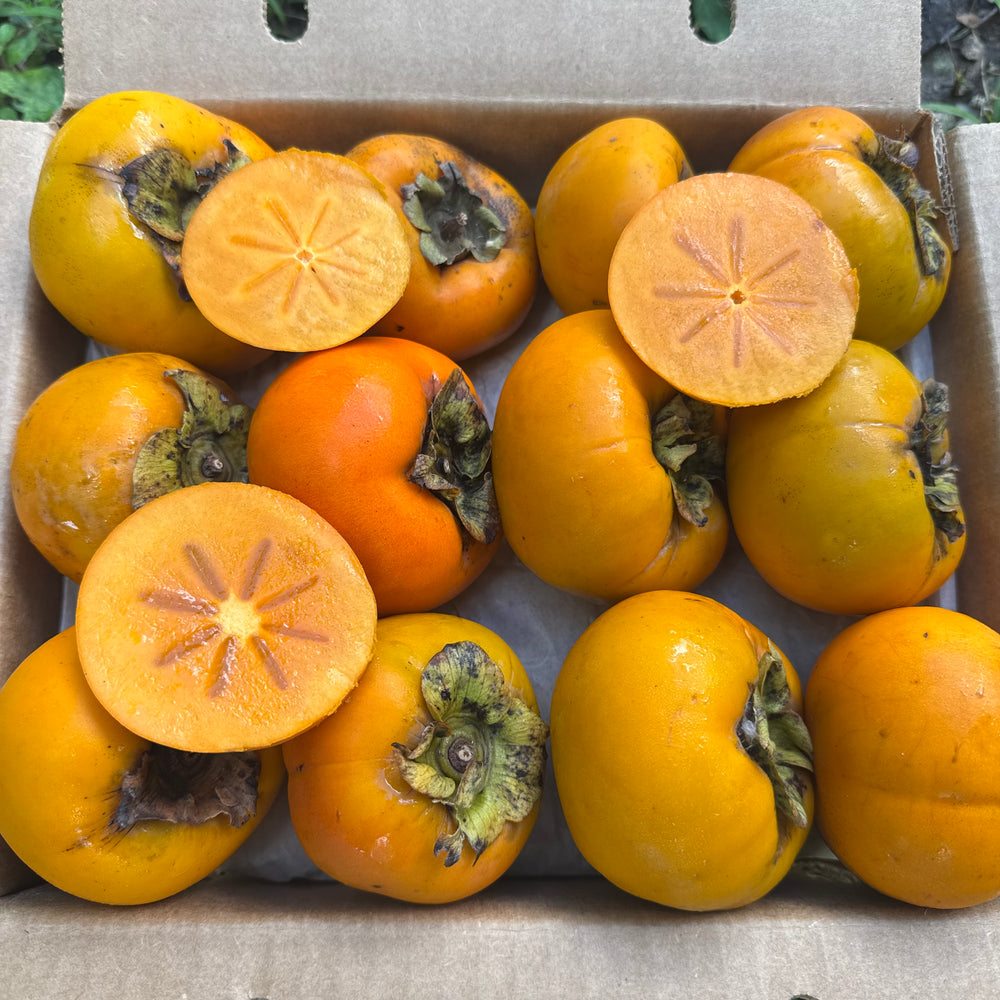 Fuyu Persimmon *Pre-Order*