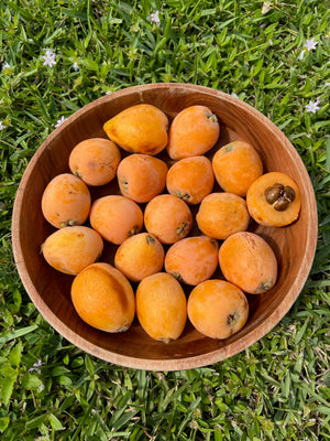 Loquat Box *LIMITED OFFER*