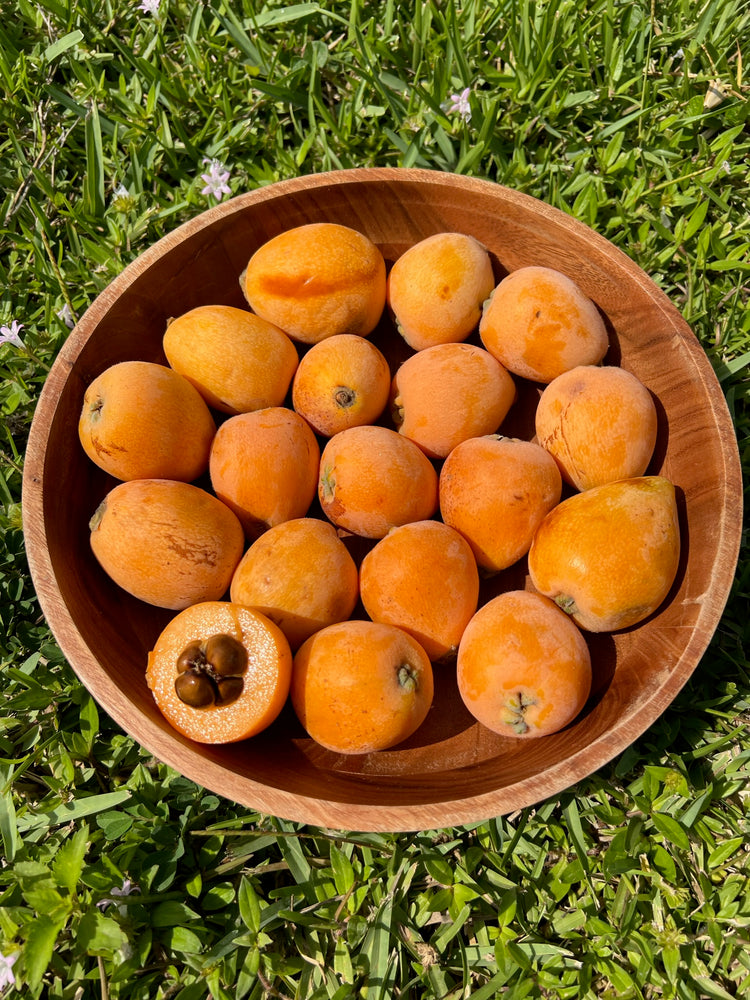 Loquat Box *LIMITED OFFER*