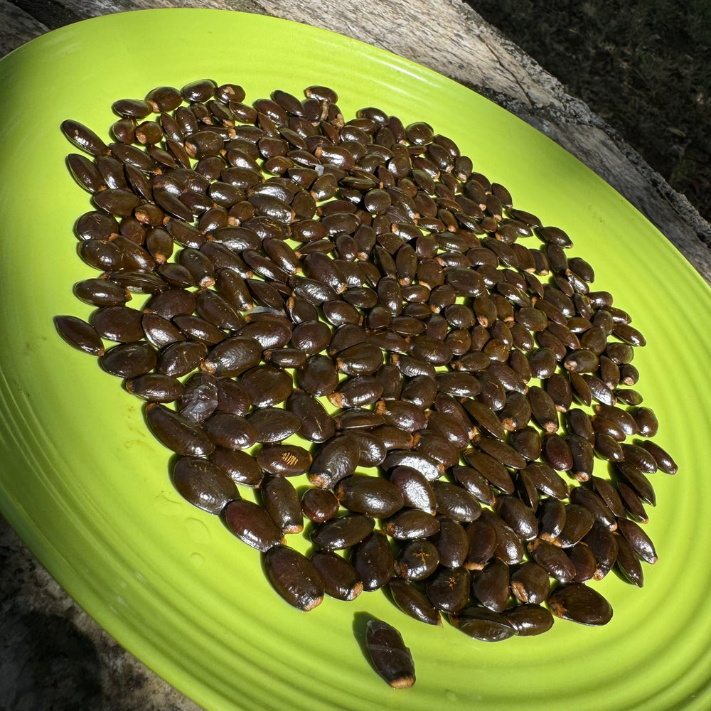 soursop seeds for planting Annona Muricata Seeds