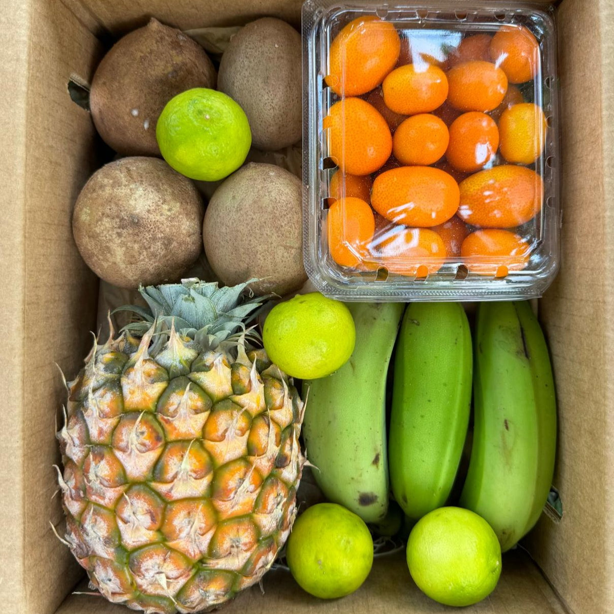 Leftovers Box – Miami Fruit