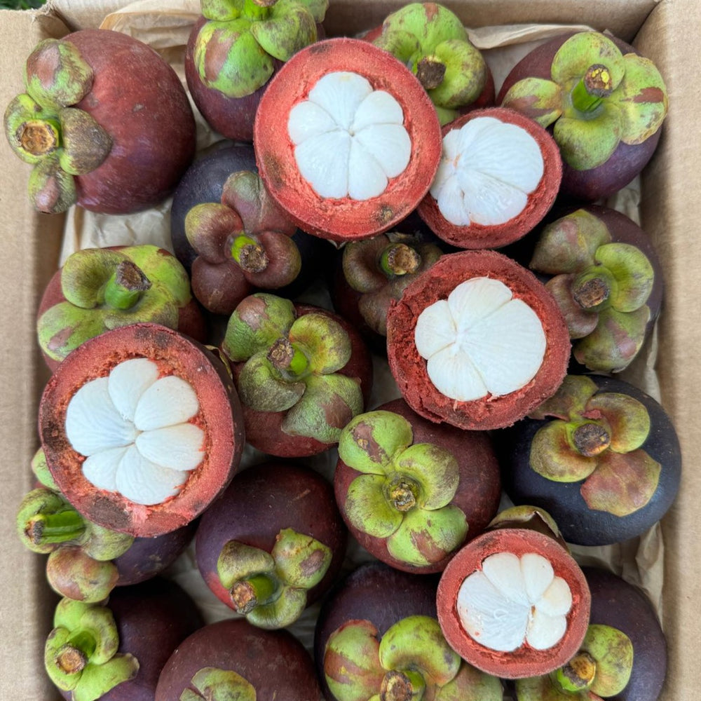 Mangosteen *Pre-Order*