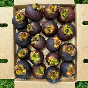 Mangosteen *Pre-Order*