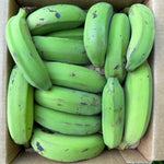 Gros Michel Banana *Pre-Order*