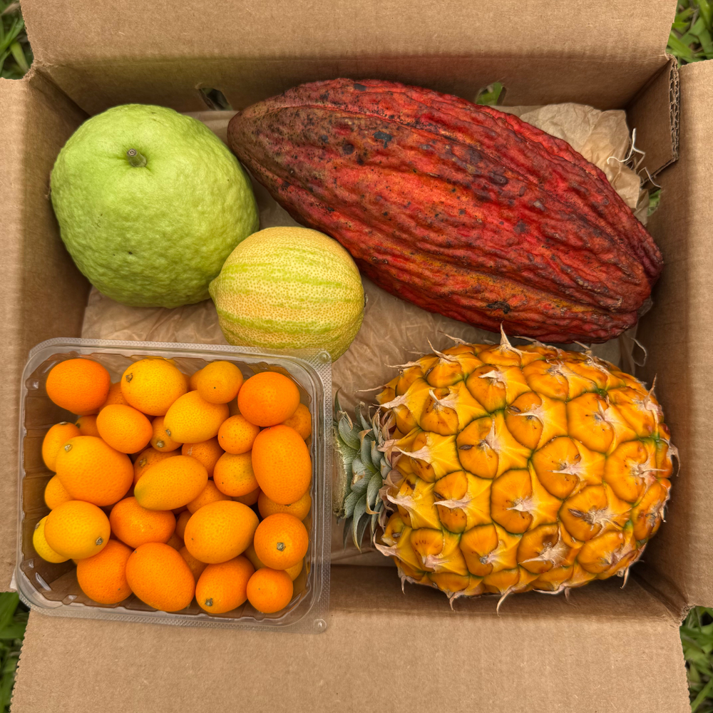 Ready-to-Eat Tropical Fruit Box – Miami Fruit