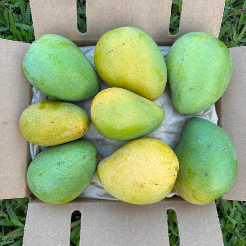 The "Fairchild" Mango *Pre-Order*