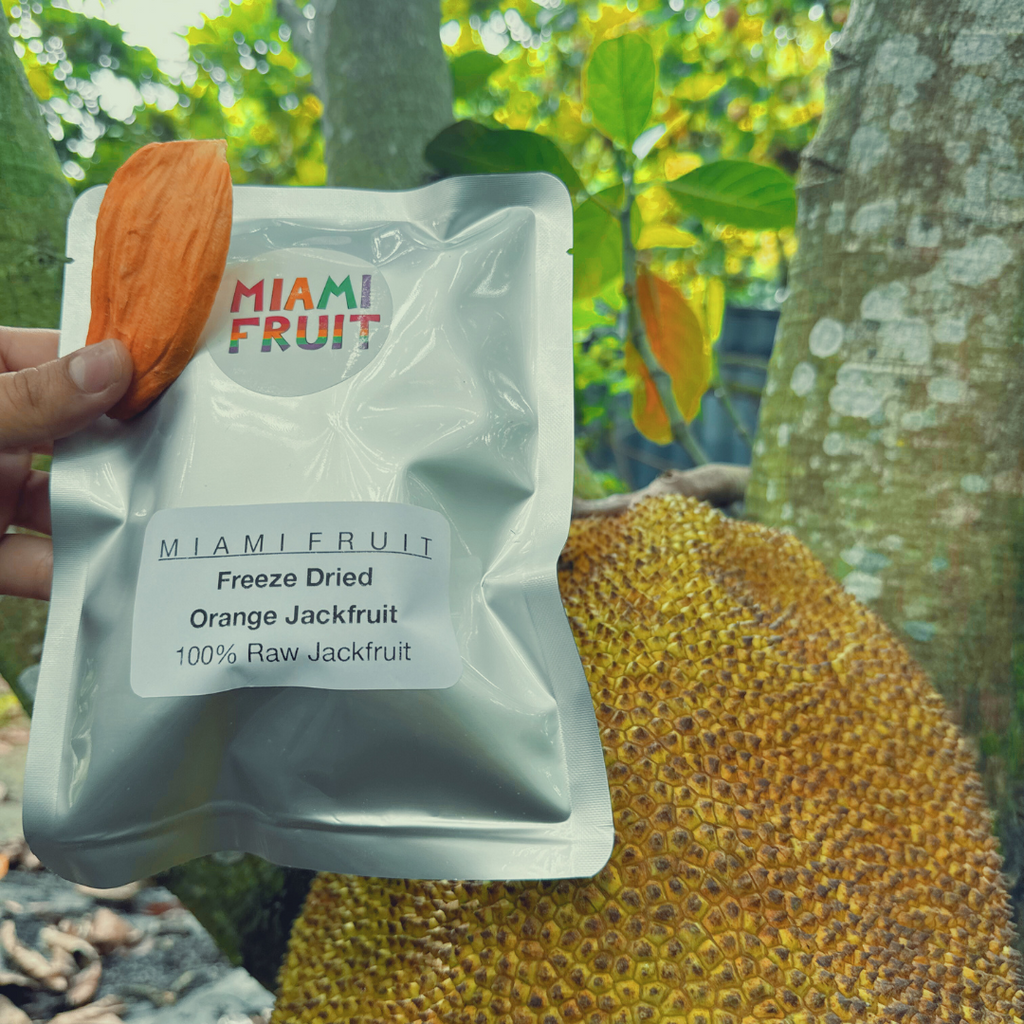 Freeze Dried Orange Jackfruit – Miami Fruit