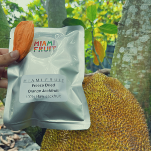 Freeze Dried Orange Jackfruit