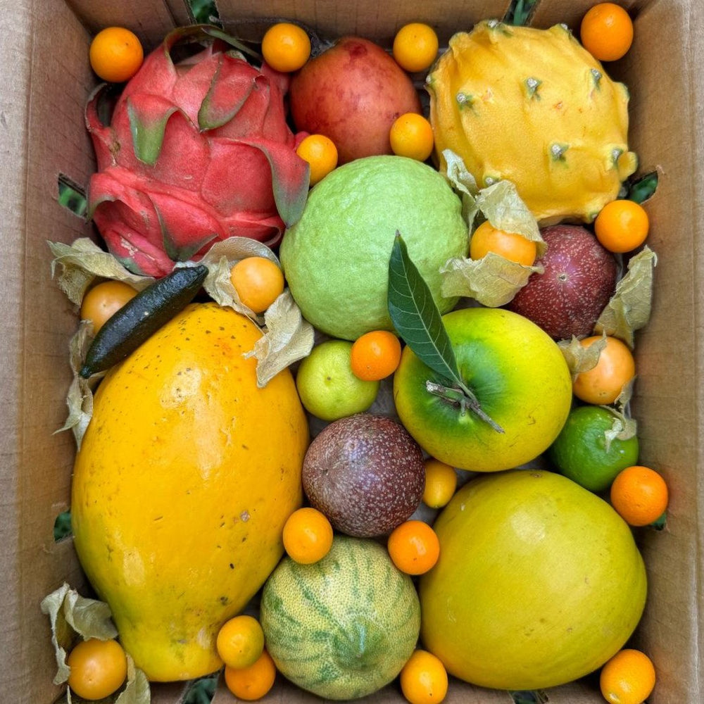 Miami Fruit - Best Tropical Fruit Boxes in the USA