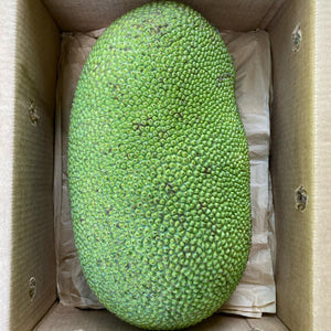Jackfruit Box