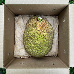 Mushy Jackfruit *Pre-Order*