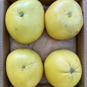 
            
                Load image into Gallery viewer, Pomelo Box
            
        