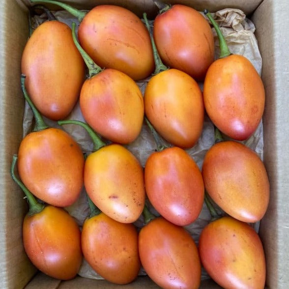 Tamarillo (Tree Tomato) Box