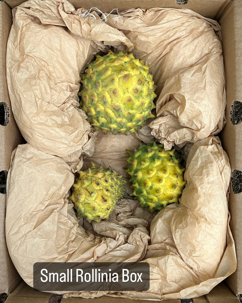 Rollinia *Pre-Order* – Miami Fruit