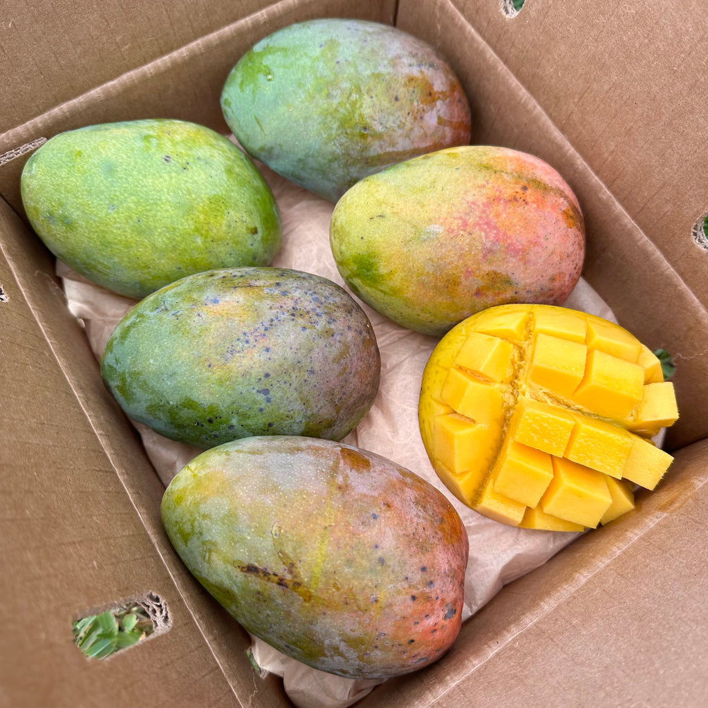 MANGO - Tropical fruit Florida