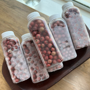 Frozen Strawberry Tree Berry Box *Pre-Order*