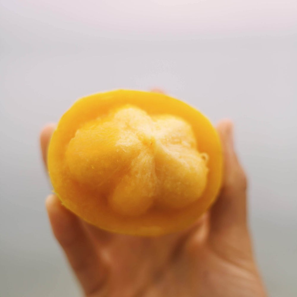 Gamboge (Lemon Mangosteen)*Pre-Order*