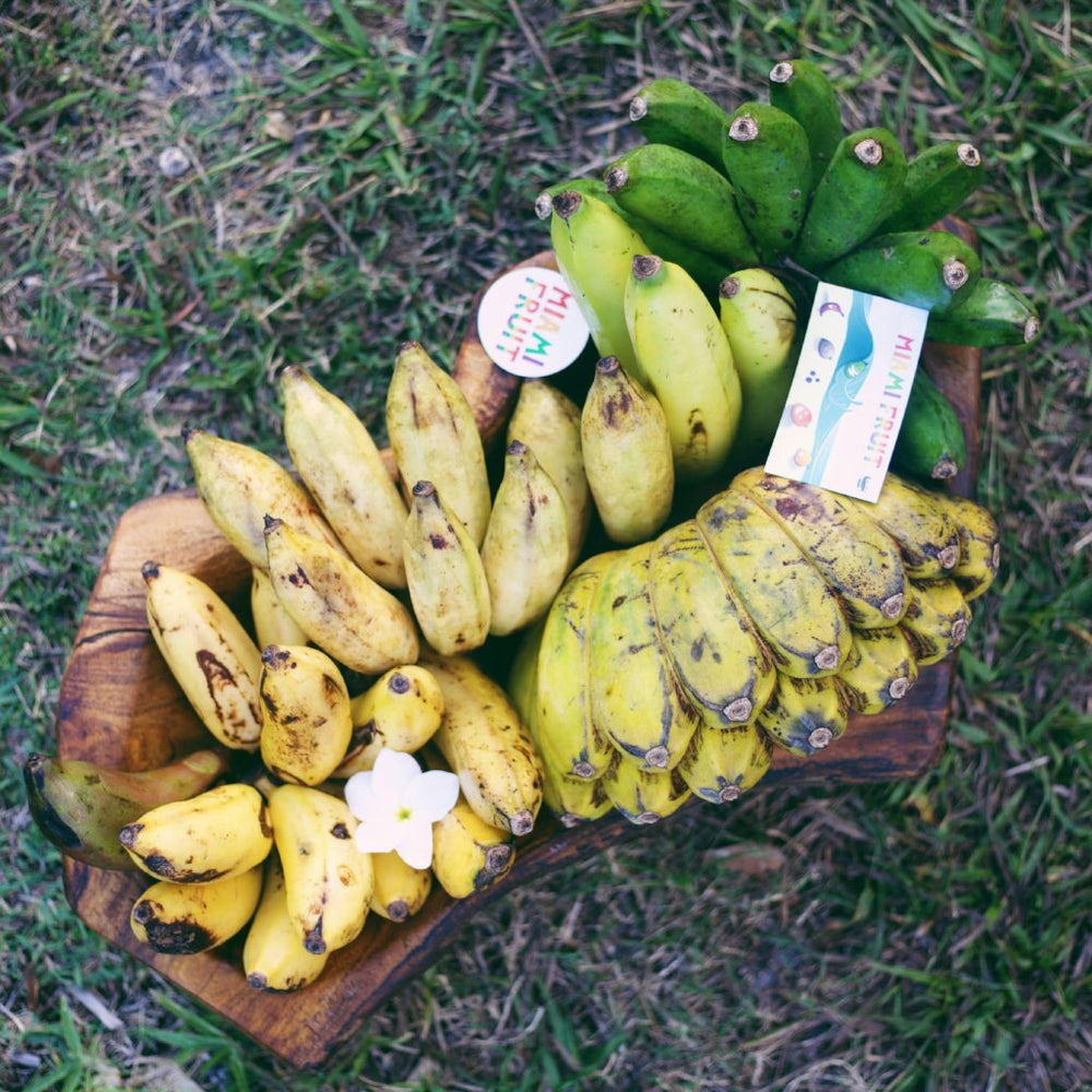 Banana Variety Box