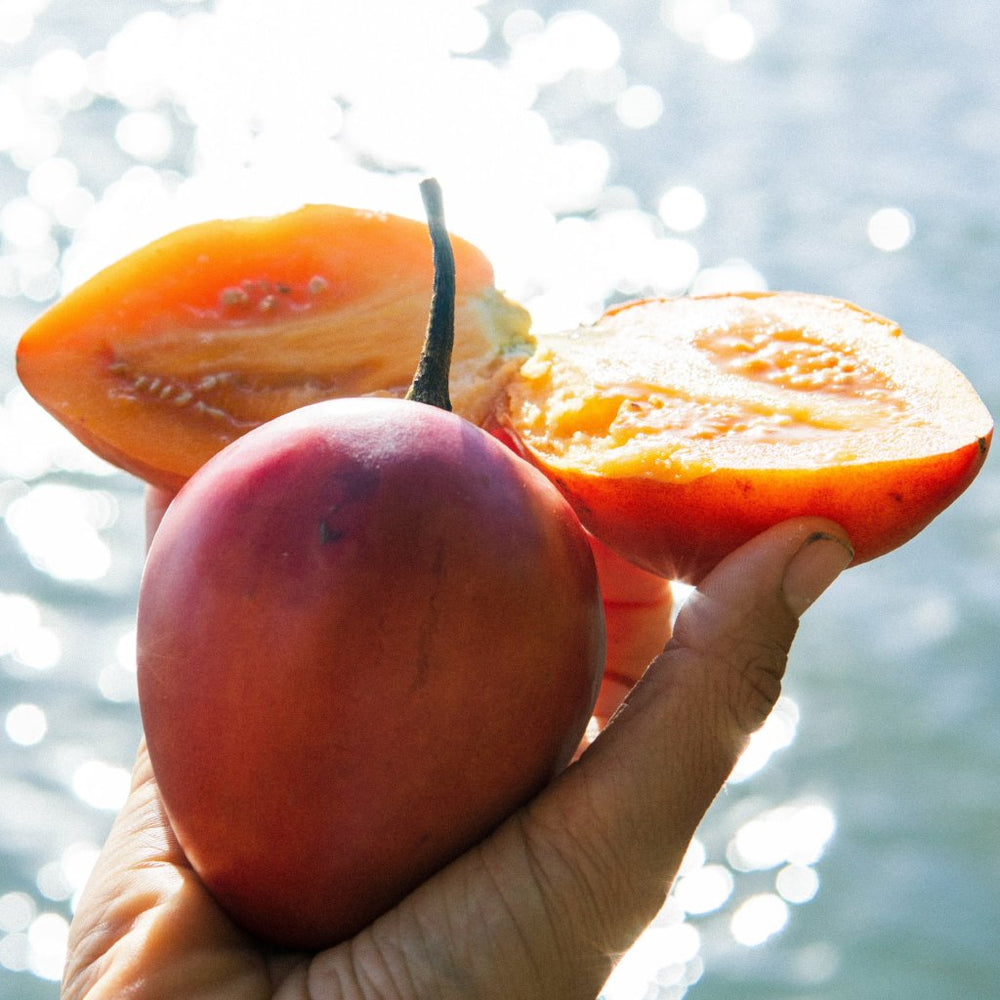 Timilo Fruit Miami Fruit - Best Tropical Fruit Boxes in the USA