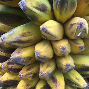 Kandrian Banana *Pre-Order*