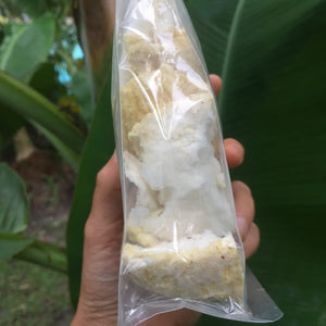 Freeze Dried Sprouted Coconut