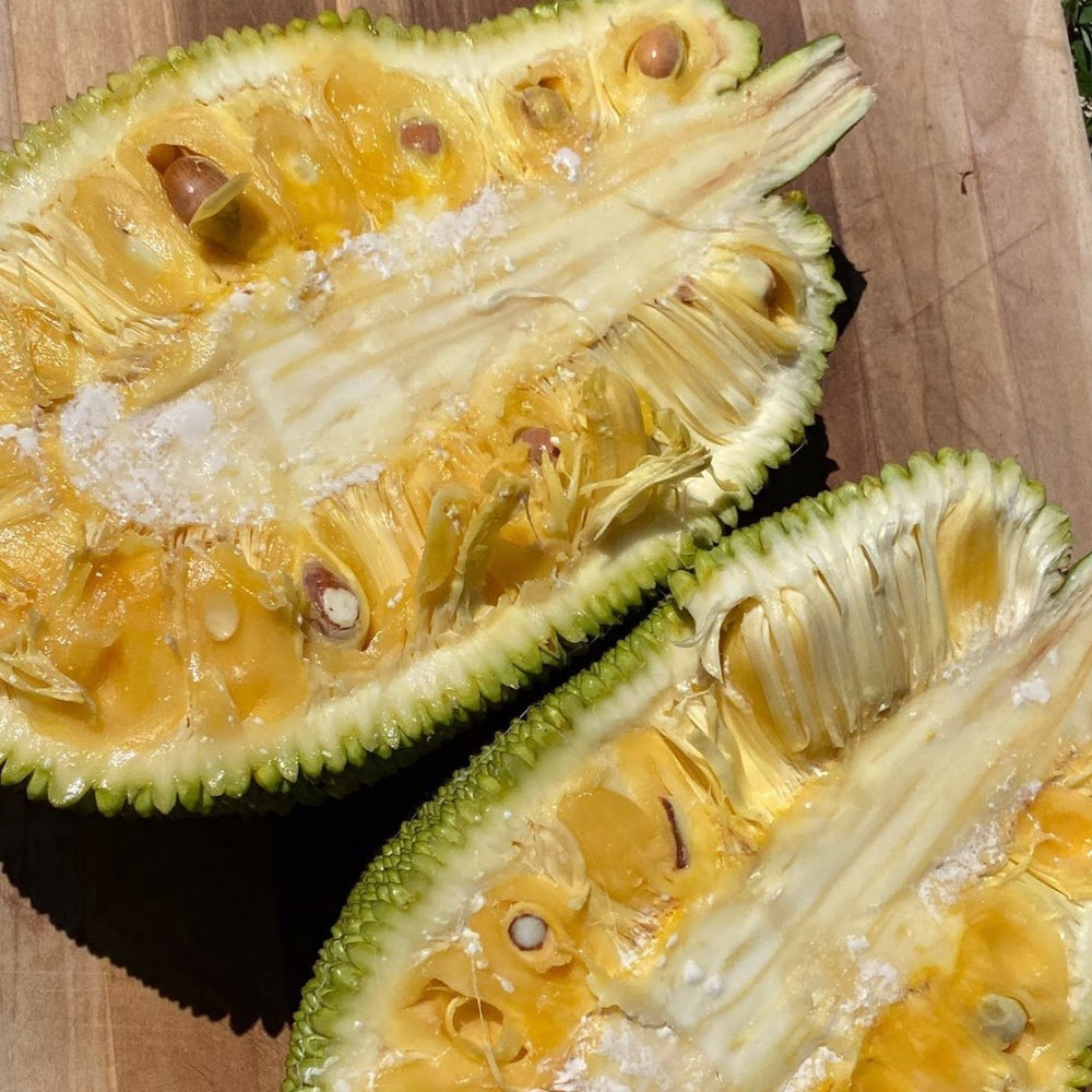 Jackfruit - Buy fresh Jackfruit online from Miami Fruit