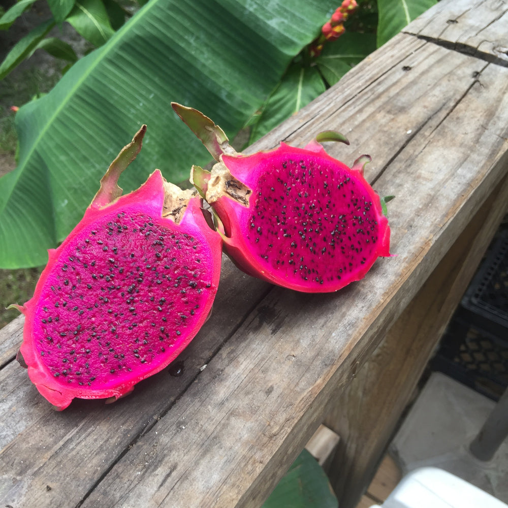 Red Dragonfruit (Pitaya) Box – Miami Fruit