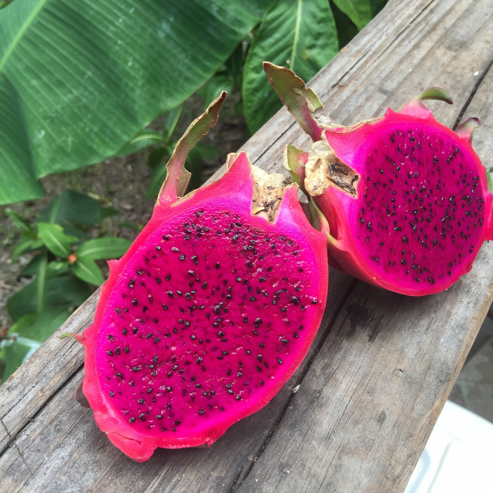 Red Dragonfruit (Pitaya) Box *Pre-Order*