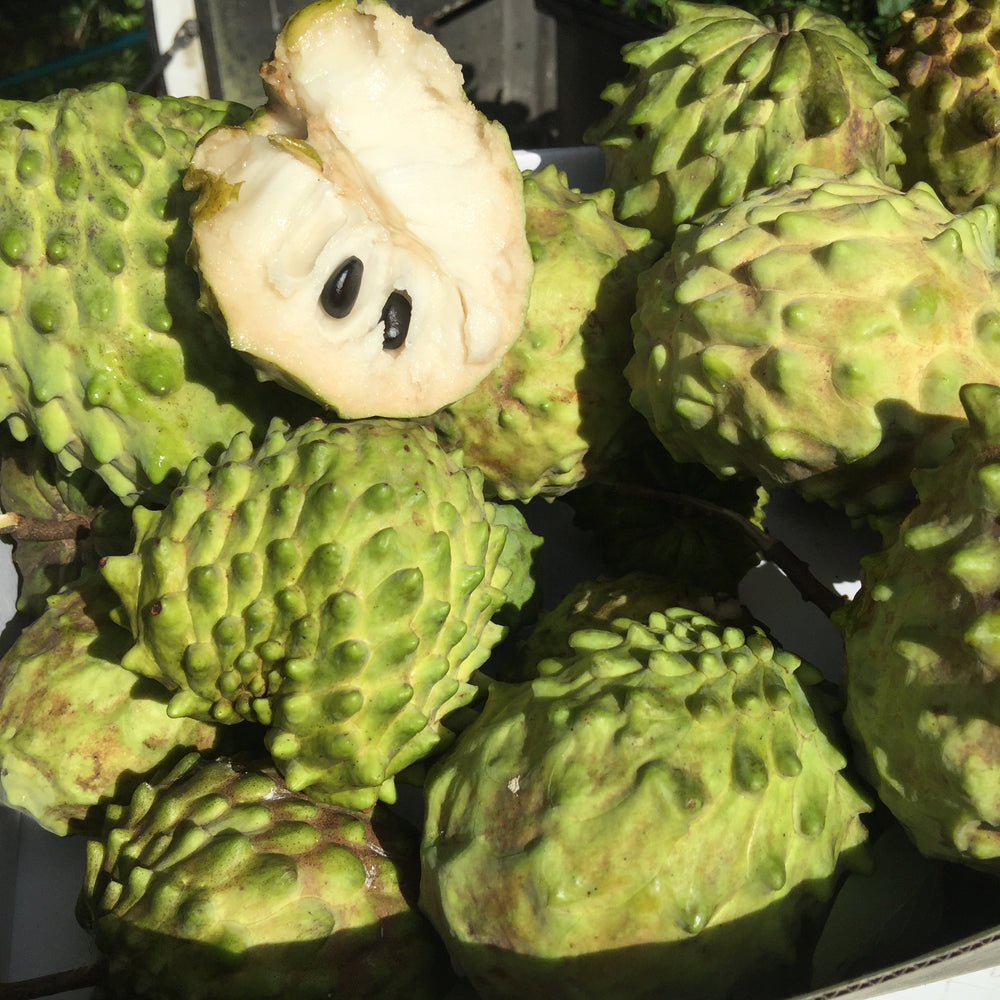 Аннона фрукт фото Аннона фрукт фото