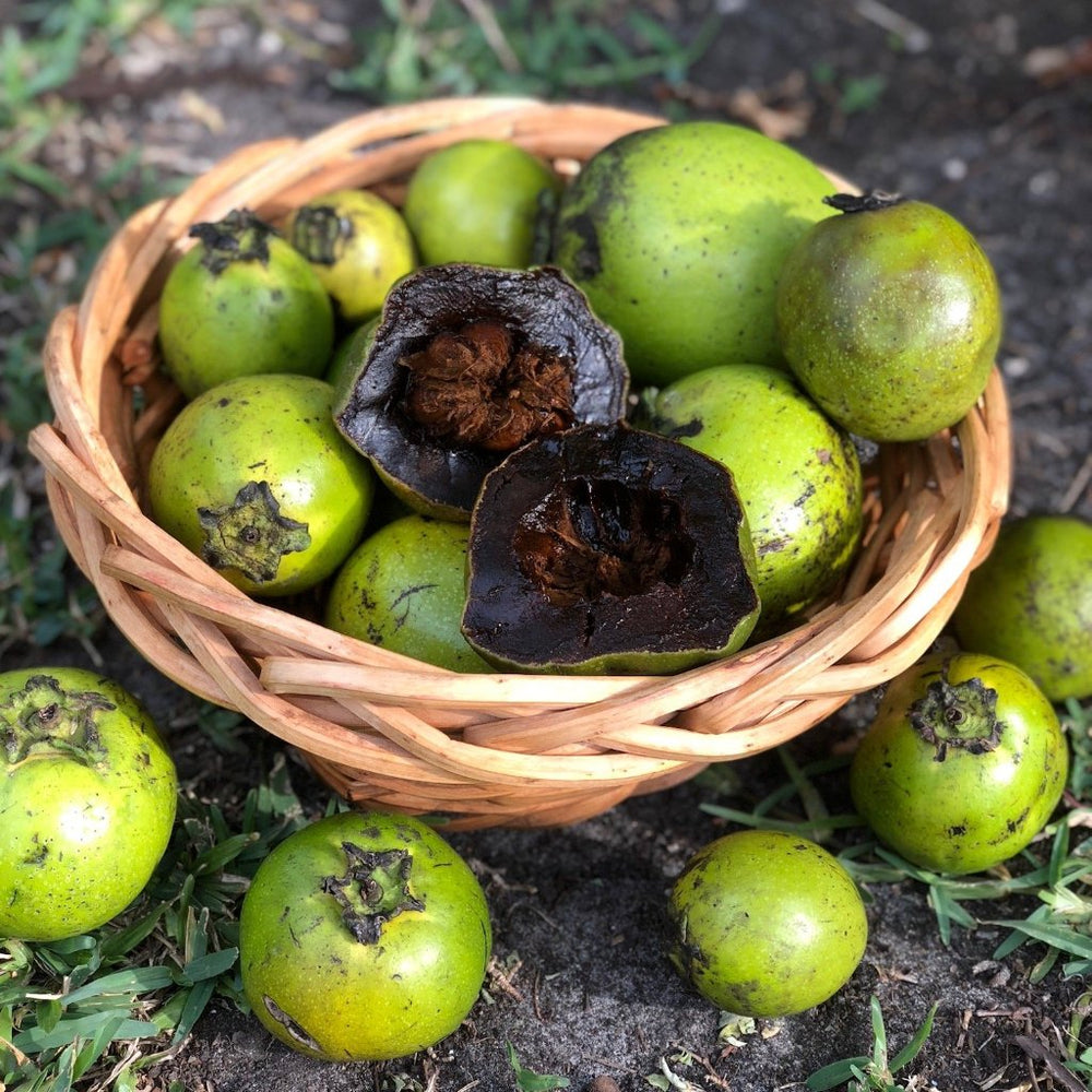 Black Sapote - Buy Black Sapote online from Miami Fruit Black sapote near me