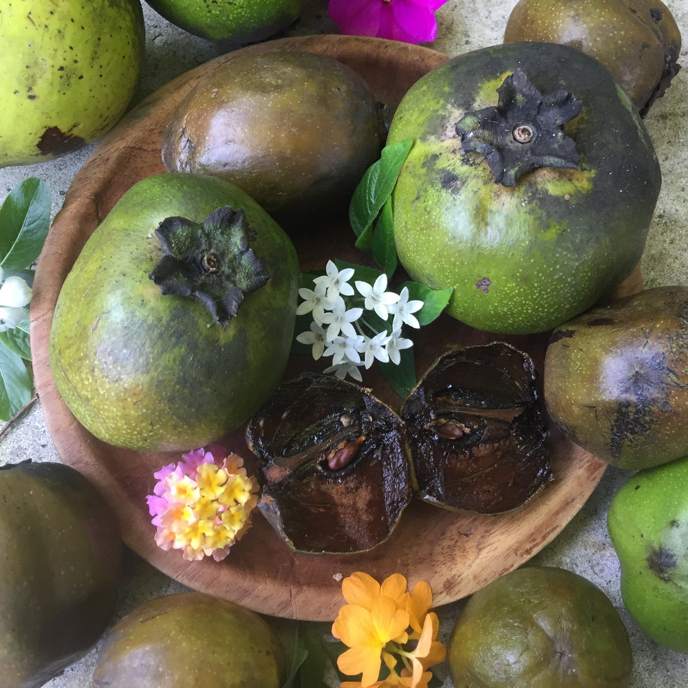Black Sapote - Buy Black Sapote online from Miami Fruit Black Sapote - Buy Black Sapote online from Miami Fruit