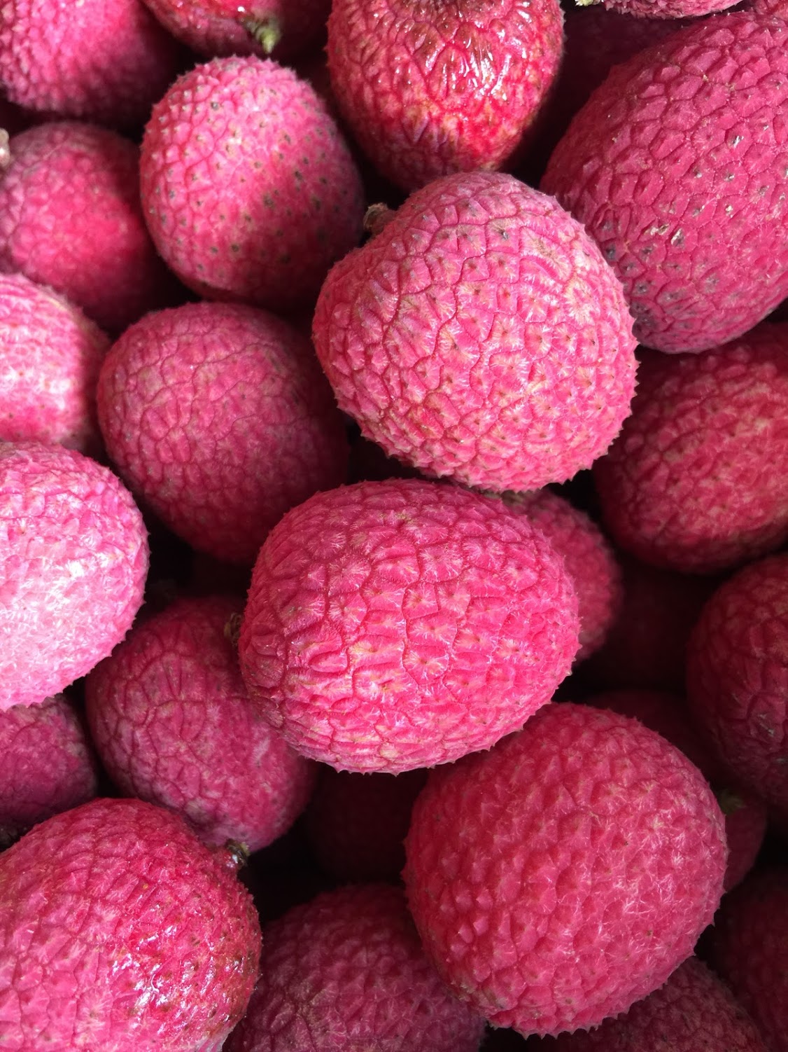 Lychee - Brewster Variety *Pre-Order* – Miami Fruit