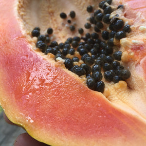 sweet juicy caribbean papaya non gmo
