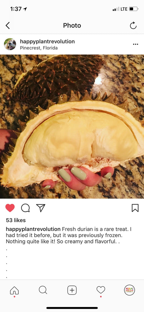
            
                Load image into Gallery viewer, Fresh Monthong Durian *Pre-Order*
            
        