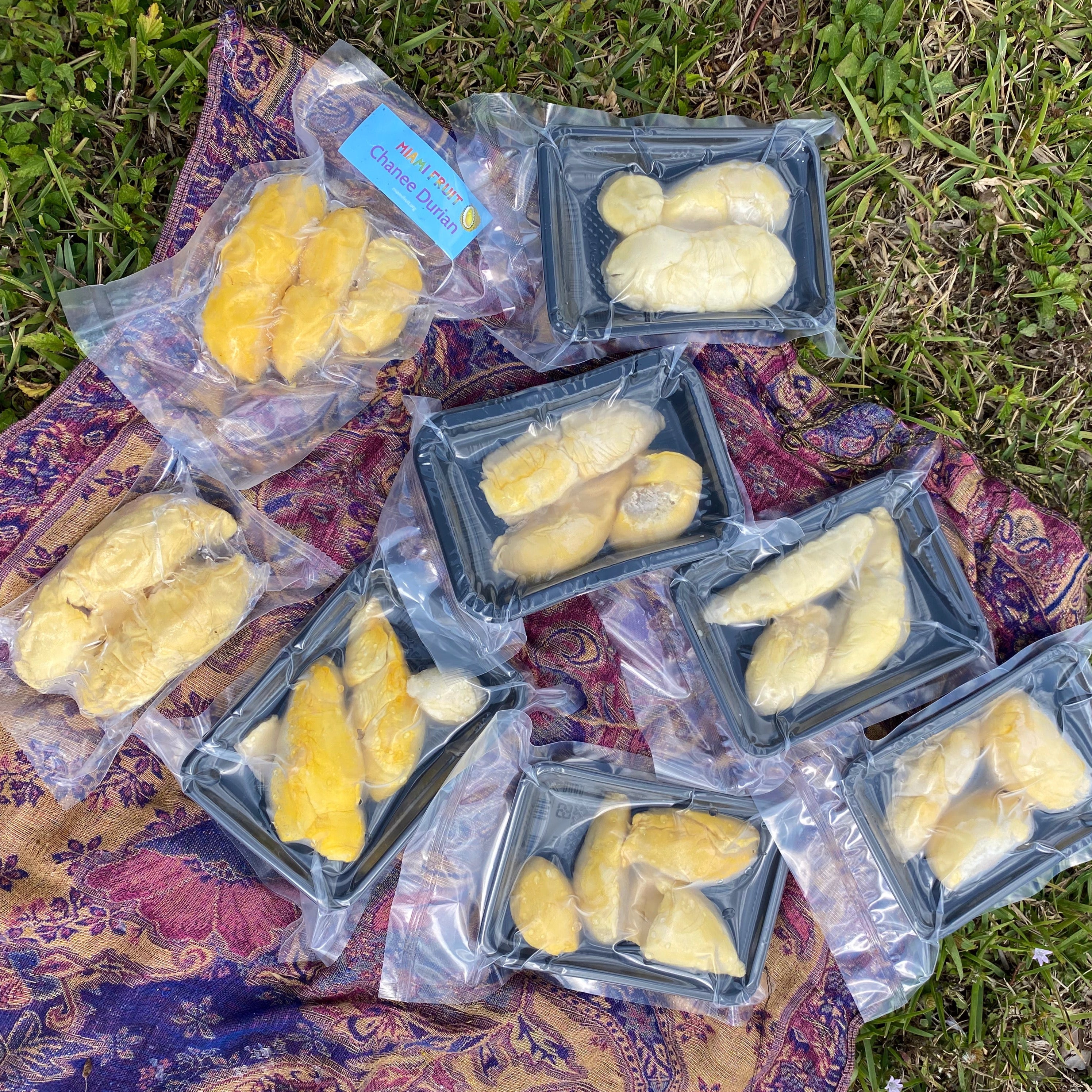 Durian Variety Pack - 6 Different Varieties – Miami Fruit