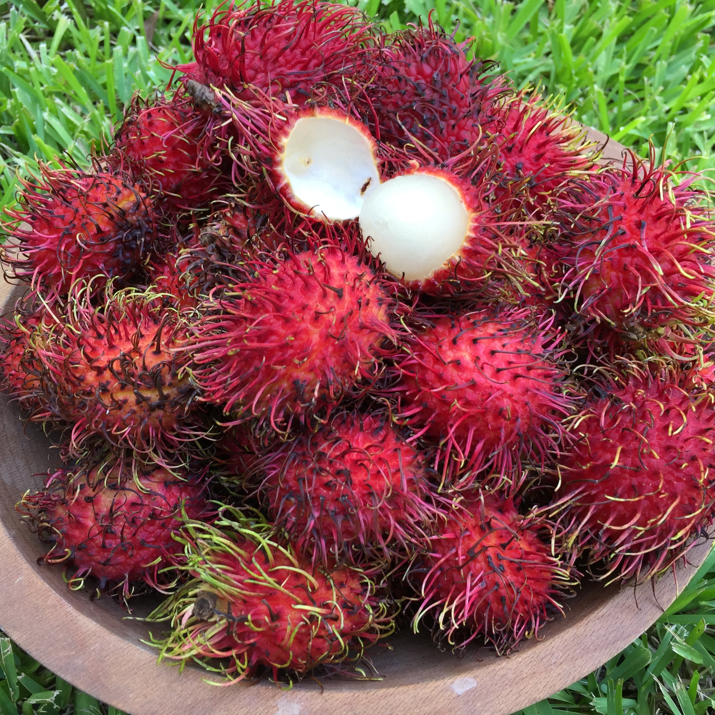 Great Description About Where Can I Buy Rambutan