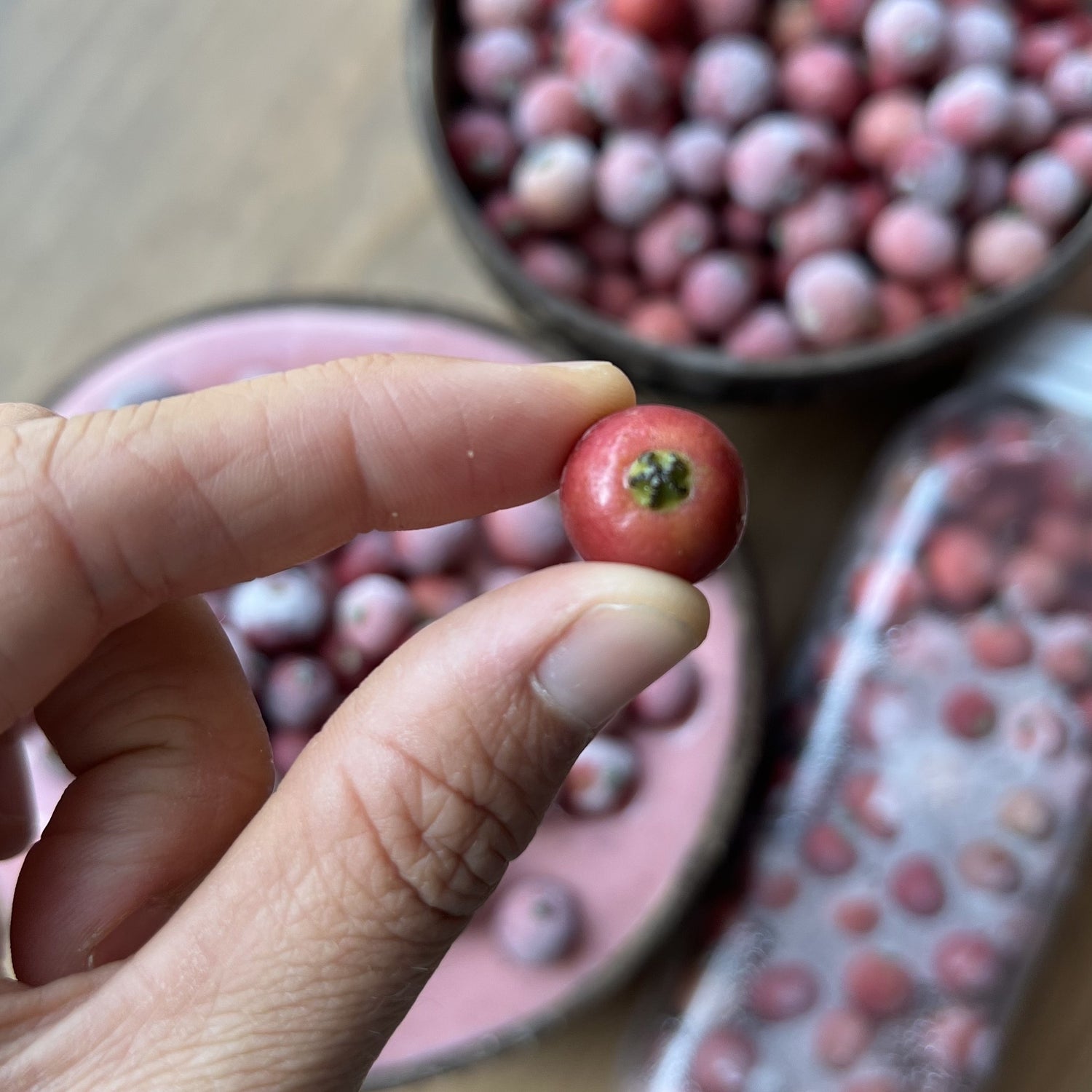 Strawberry Tree Berry - Buy Muntingia calabura fruit online from